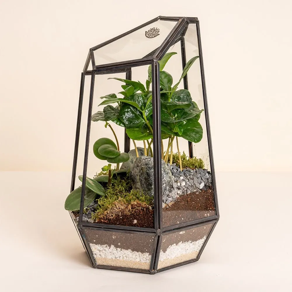 Terrarium
