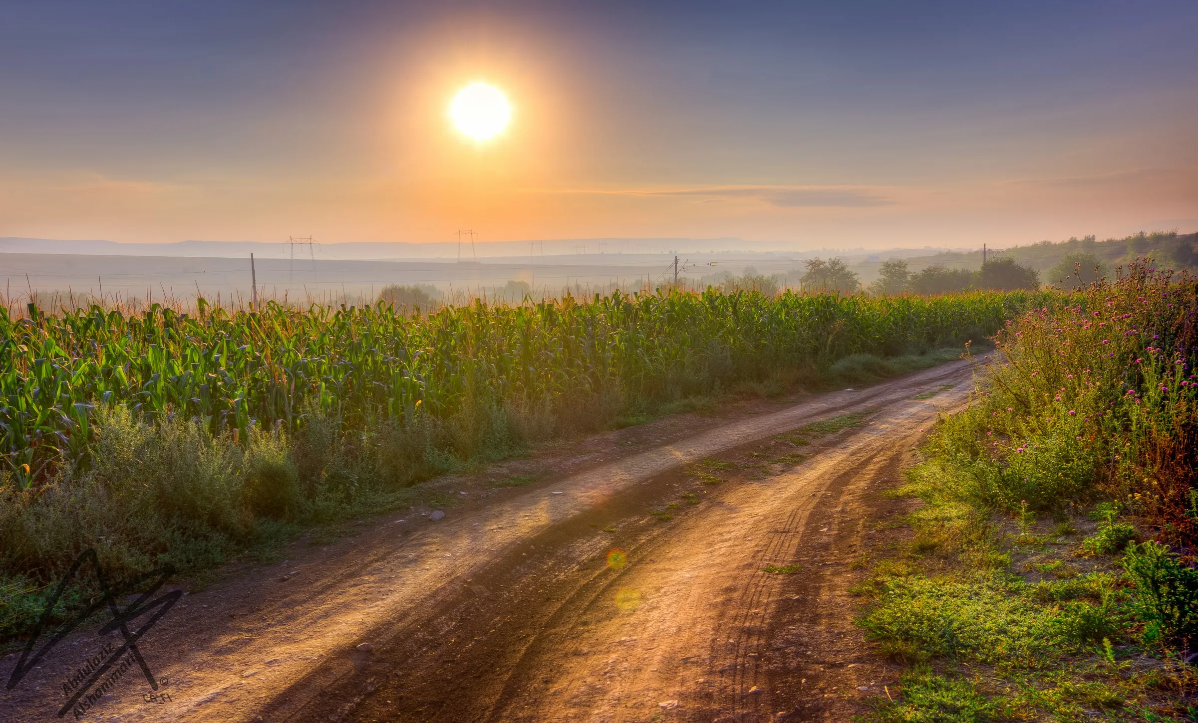 Farm track at sunrise