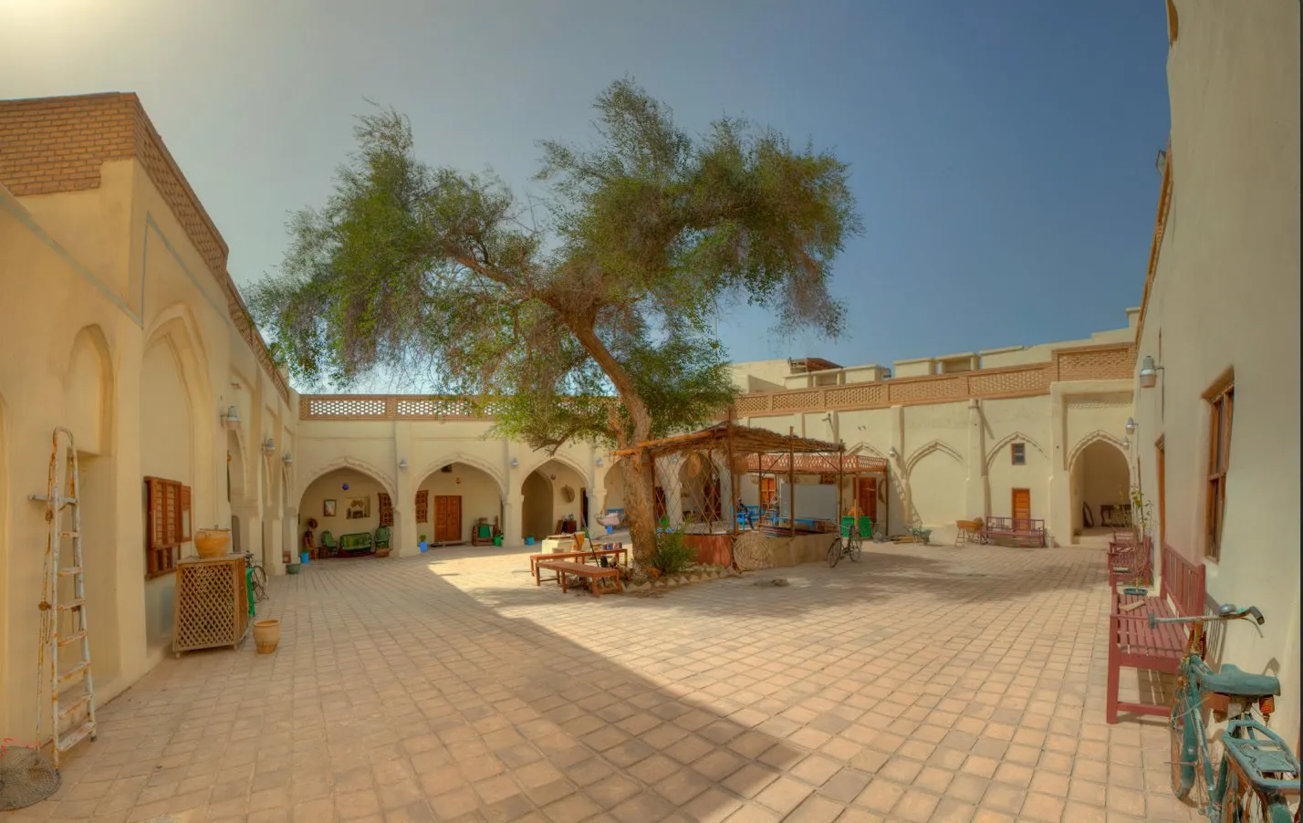 Arcaded courtyard with a sidr tree