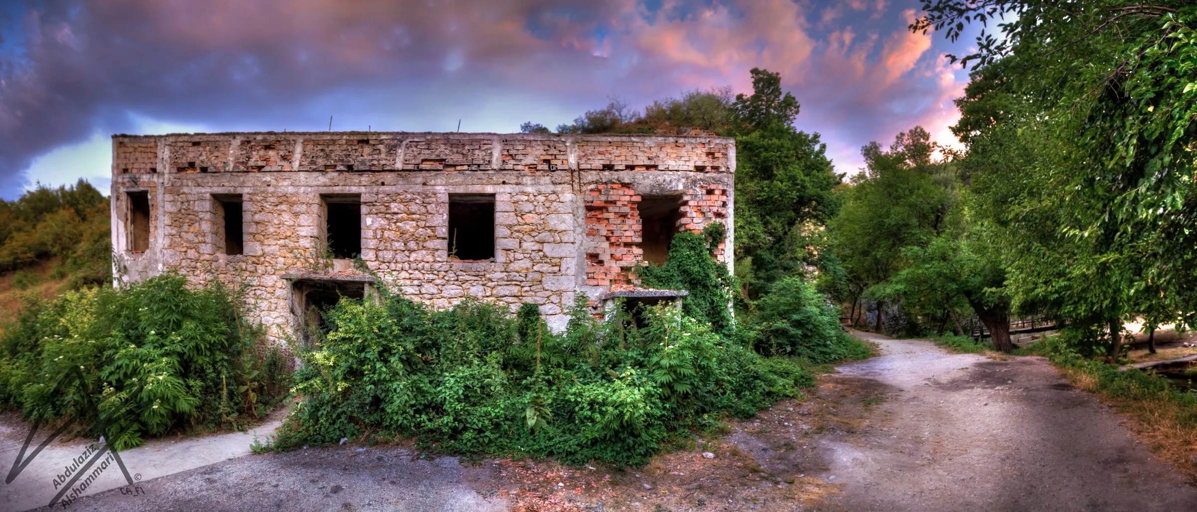 An abandoned house taken back by green